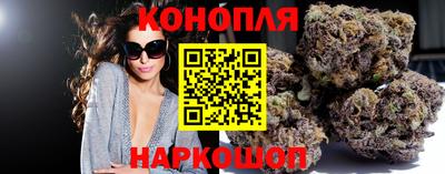 индика Апшеронск
