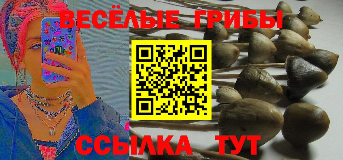 Псилоцибиновые грибы Psilocybine cubensis  Вход с VPN  закладки  Воронеж 