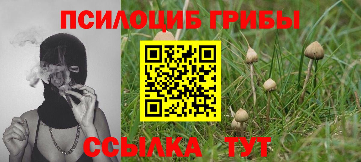 Галлюциногенные грибы Cubensis Воронеж